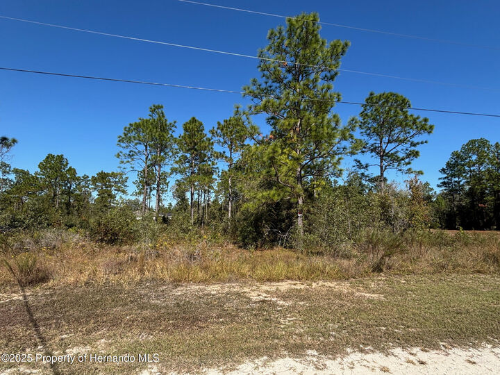 Property Photo:  Lot 16 Calypso Avenue  FL 34614 