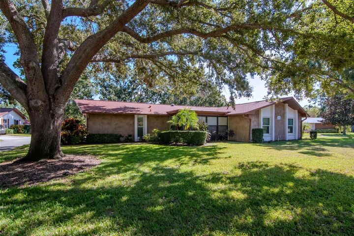 2281 Shelly Drive D  Palm Harbor FL 34684 photo