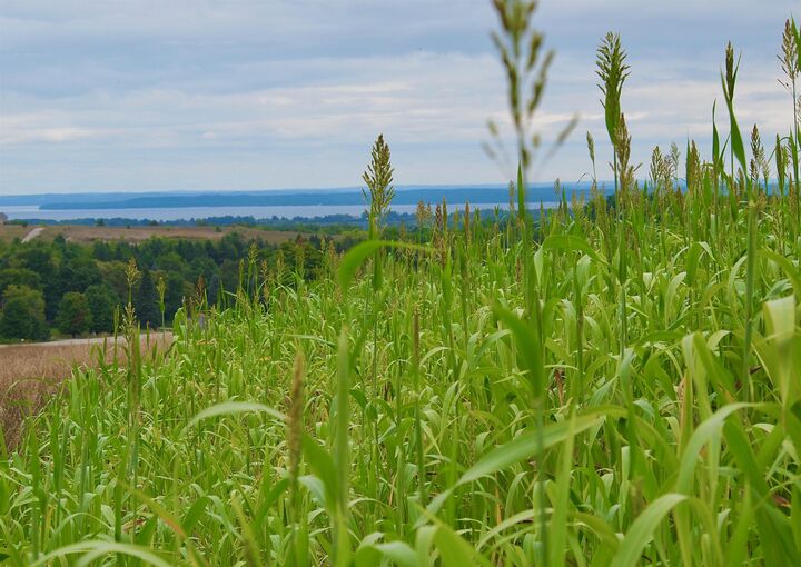 Property Photo:  9224 E Duck Lake Road  MI 49682 