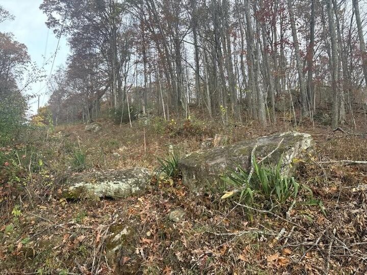 Property Photo:  0 Hylton Lane  WV 24701