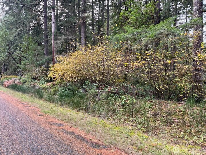 Property Photo: 10824 Madrona Drive WA 98303