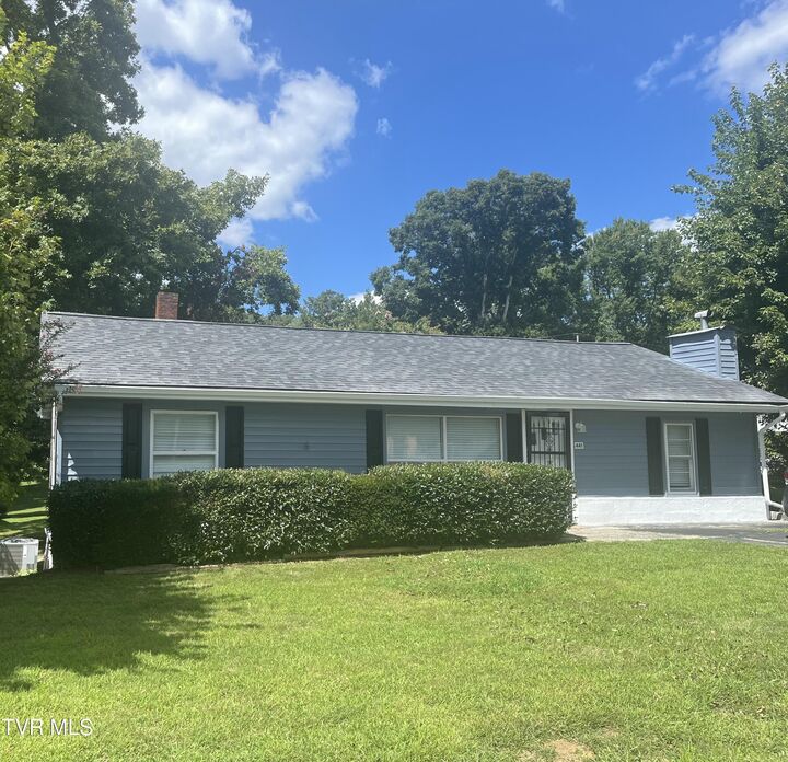 441 Mimosa Street  Mount Carmel TN 37645 photo