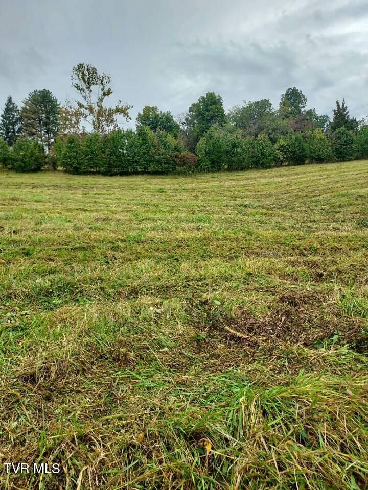 Property Photo:  Tbd West Highway 11  TN 37873 