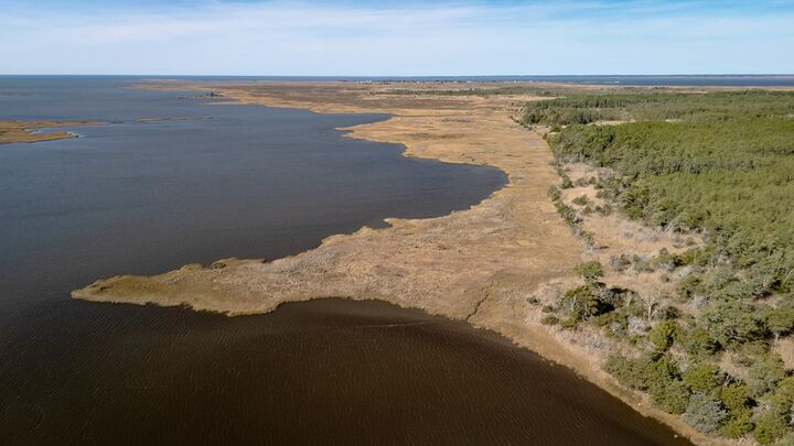Property Photo: 50 Ac Belinda Rd VA 23426