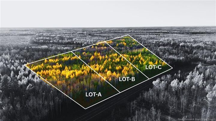 Lot B Route 126 — photo 1