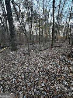 Property Photo:  0 River Ridge Trail  GA 31087 