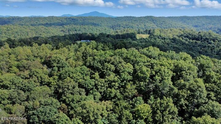 Property Photo: 258 Charlie Newberry Rd TN 37770
