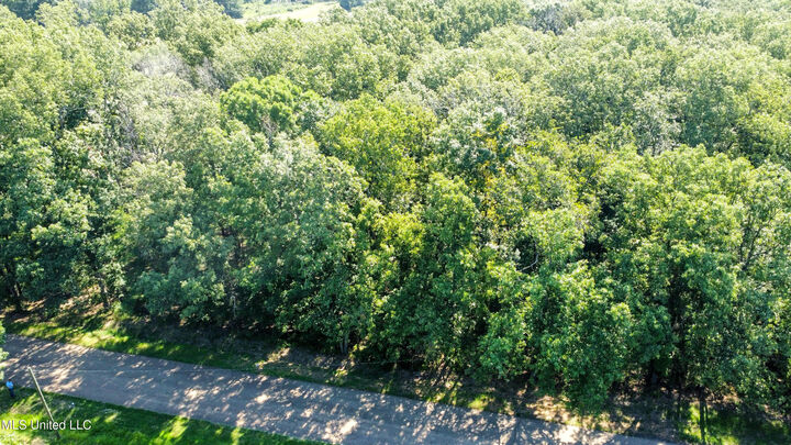 Property Photo:  0 Lakeridge Lane  MS 39056 