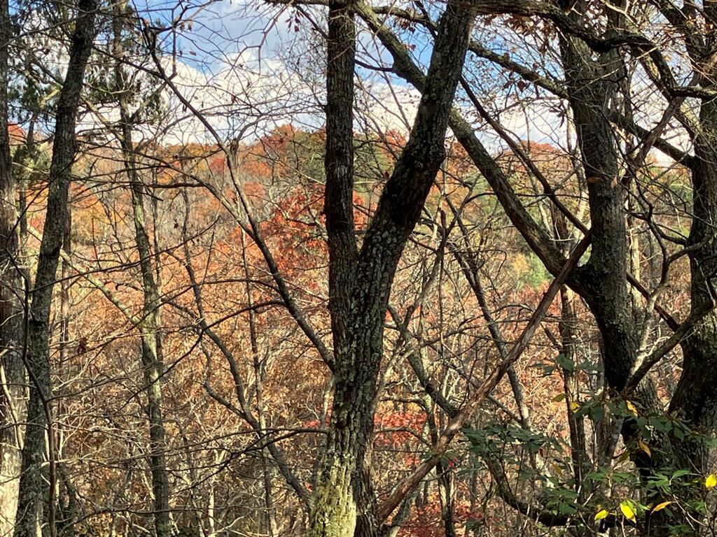 Property Photo: Lt24 Mission Ridge Court NC 28904