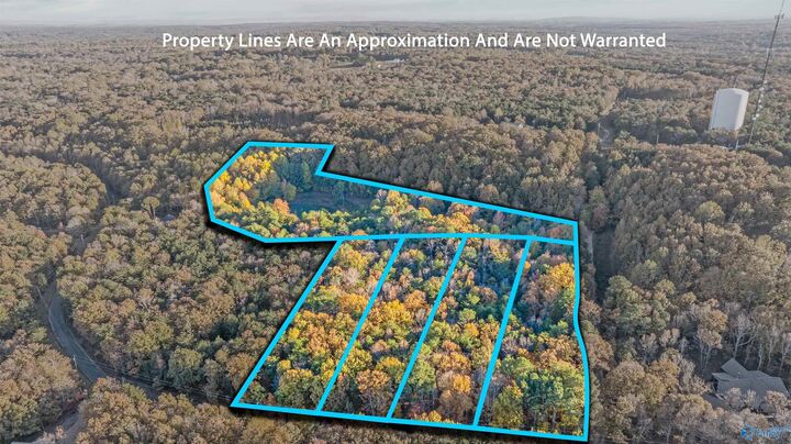 Property Photo: 10.57 Acres County Road 166 AL 35967