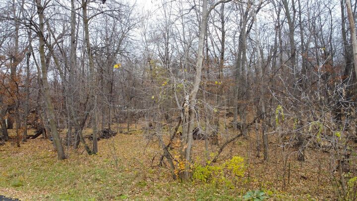 Property Photo:  Xxx Sugar Maple Dr  MN 56571 