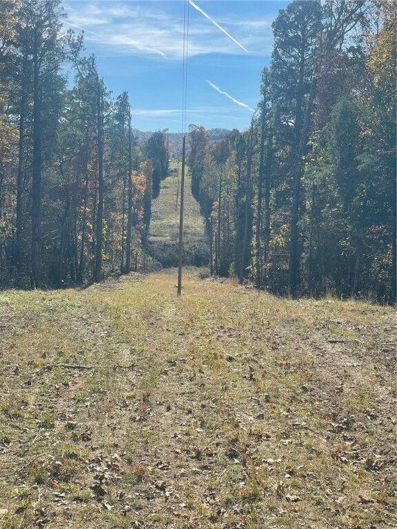 Property Photo:  509  AR 72740 