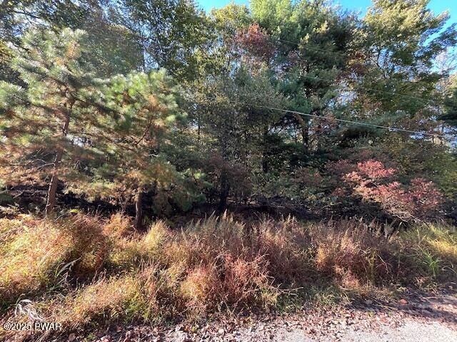 Property Photo: Lot 250 Squirrel Road PA 18328