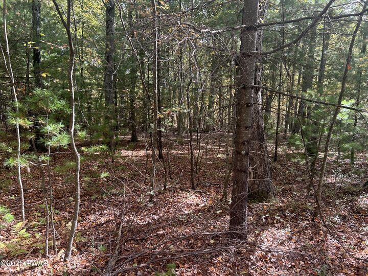 Property Photo: Lot 24 White Pine Drive PA 18328