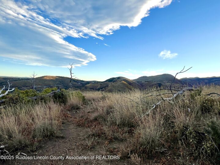 Property Photo:  Tract 4/5 Nm Hwy 37  NM 88341 