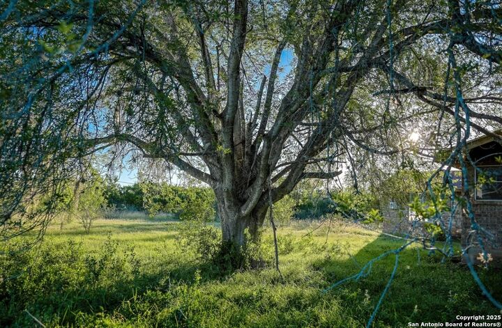 Property Photo:  000 County Line Rd # 120  TX 78102 