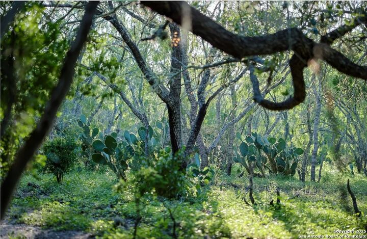 Property Photo: 000 County Line Rd # 120 TX 78102