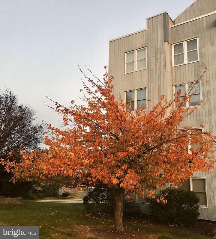 Property Photo: 5219 Le Parc Drive 2 DE 19809