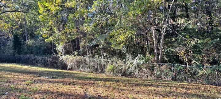 Property Photo: 9816 Powell Rd. SC 29440