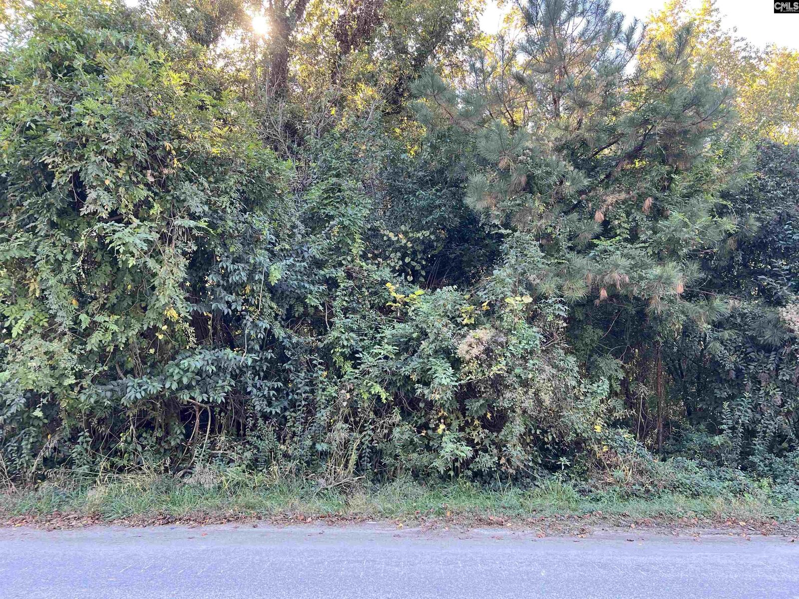 Property Photo: 1704 Smith SC 29209