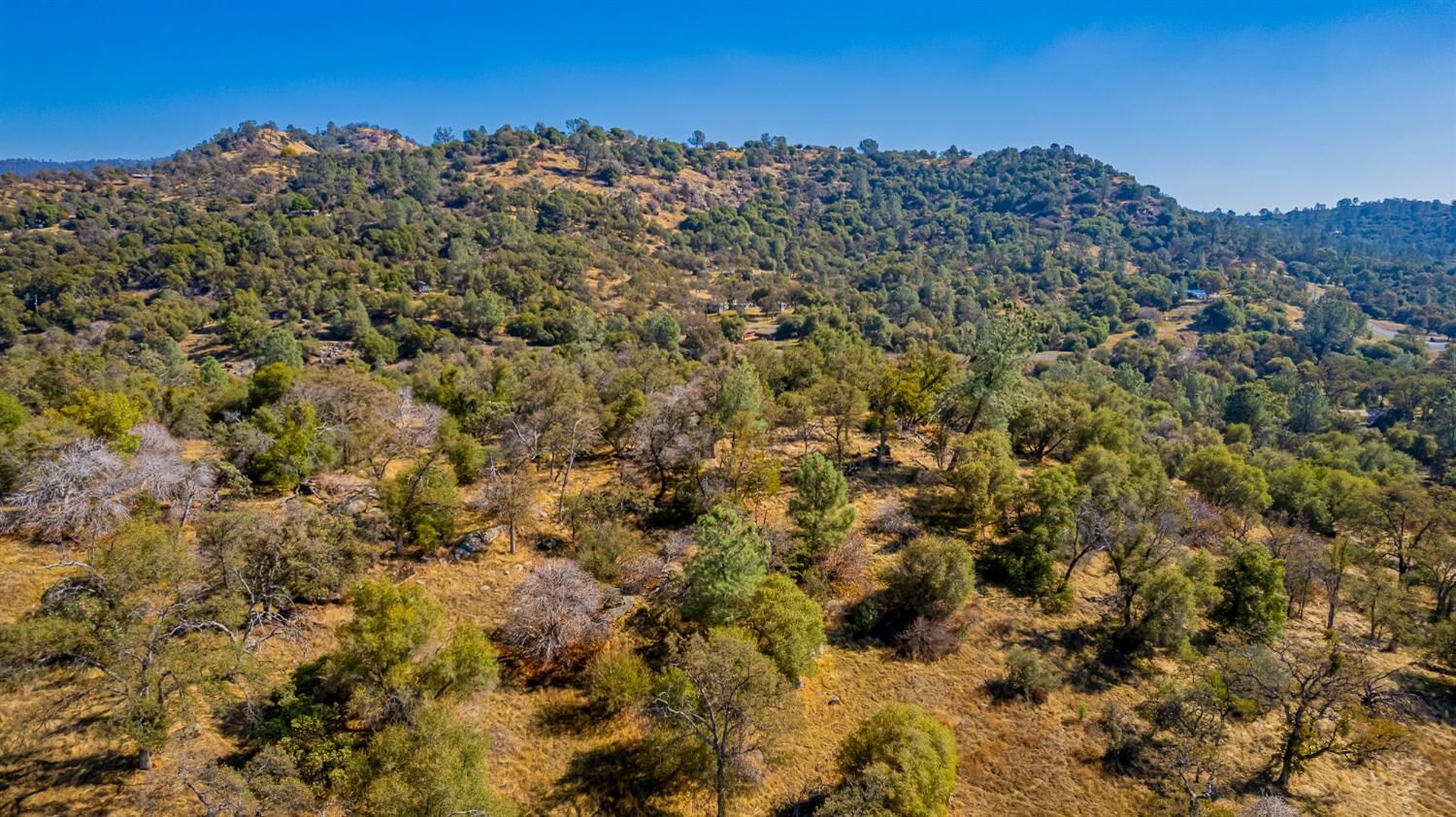 Property Photo:  0 Farmstead  CA 93614 