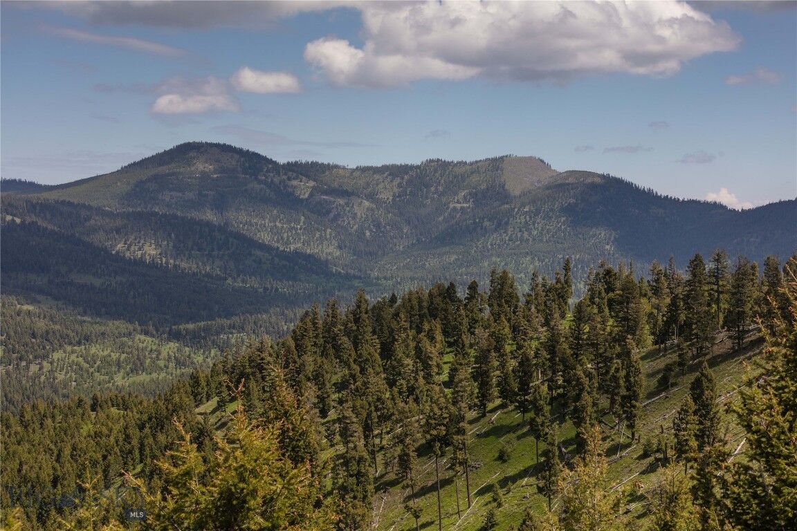 Property Photo:  4 Tract Garnet Range  MT 59832 