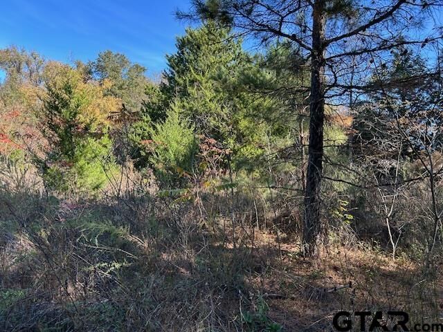 Property Photo:  Lot 14 &Amp15 Cr 2269  TX 75773 