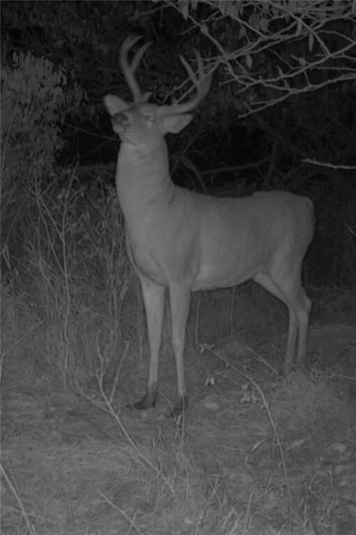 Property Photo:  9033 Kiowa Road  KS 67330 