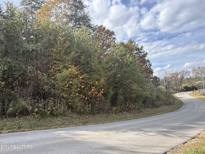 Property Photo: Nina Delozier Rd TN 37804