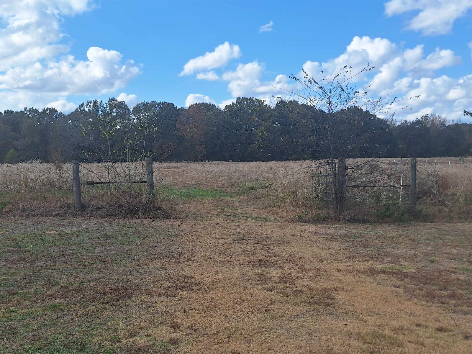 Property Photo: Tbd Cr 3070 TX 75558