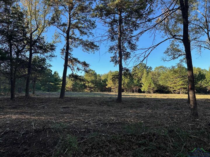 Property Photo:  Tbd Cr 1552  TX 75669 