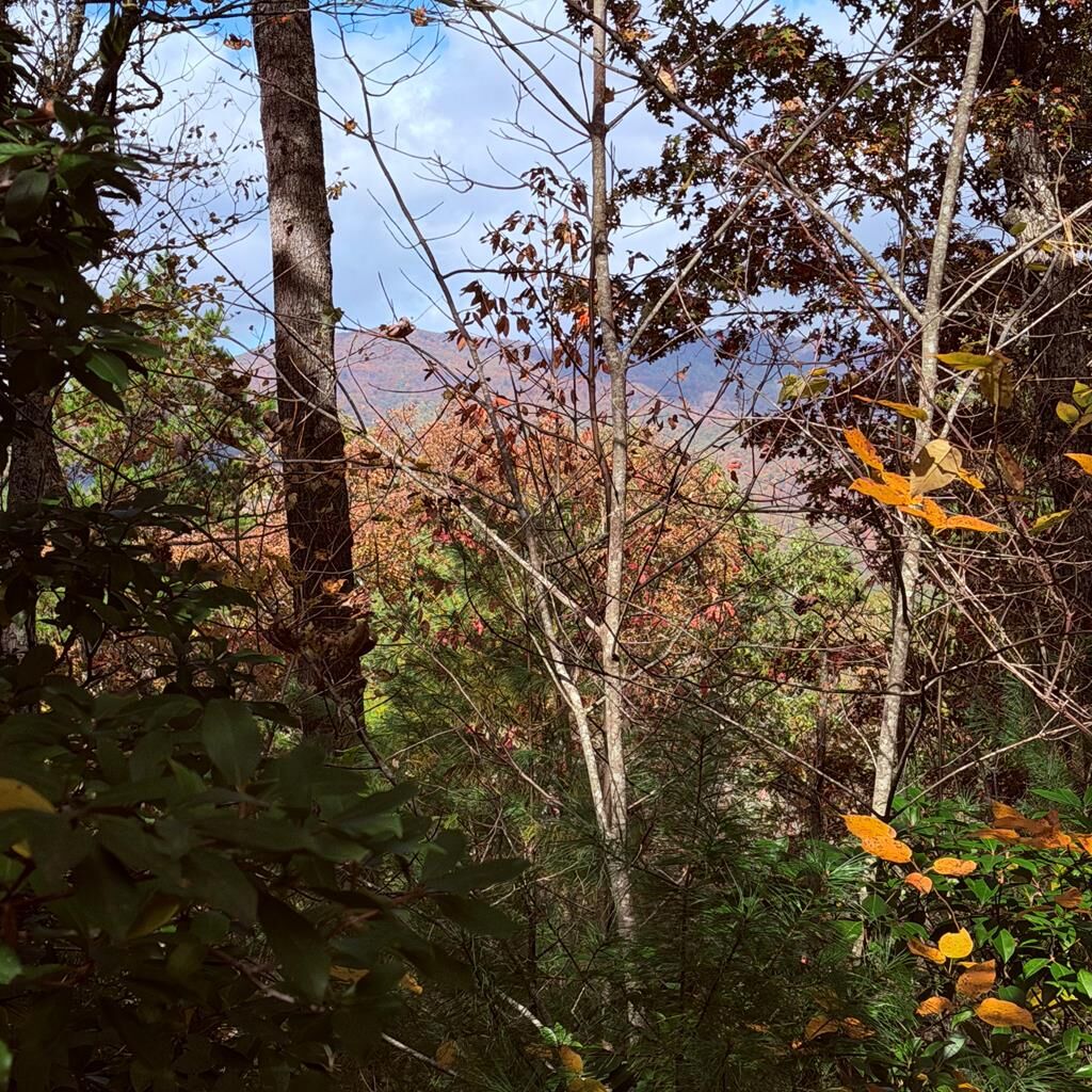 Property Photo:  Lot 26 Our Hidden Mountain  NC 28906 