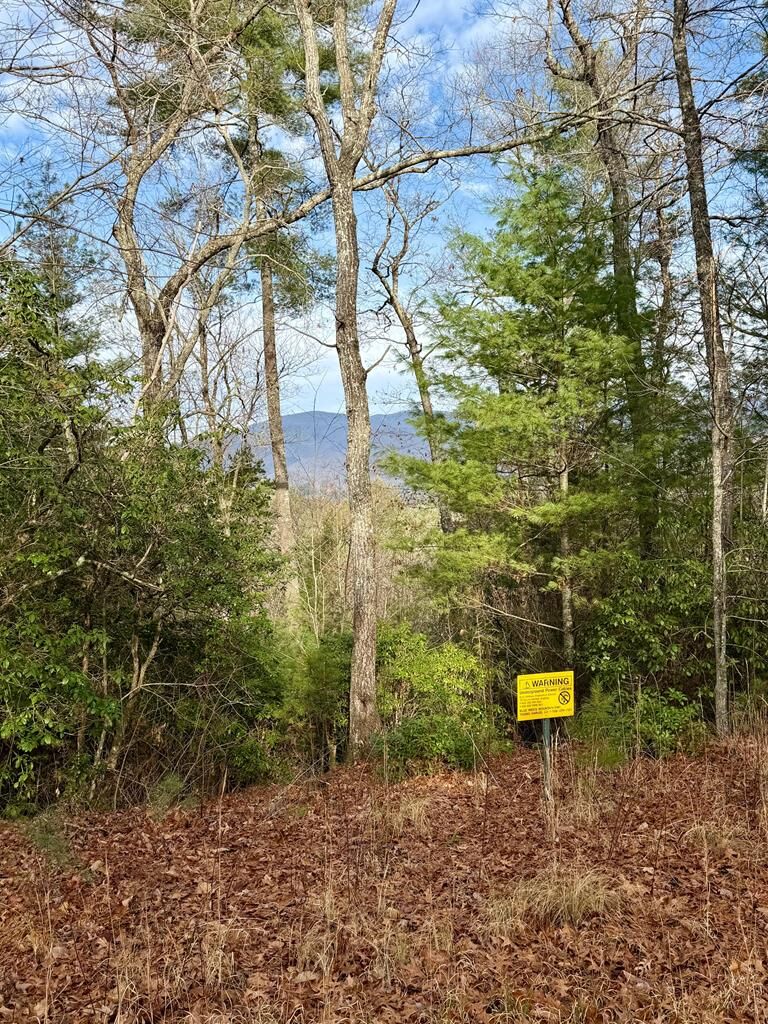 Property Photo:  Lot 26 Our Hidden Mountain  NC 28906 