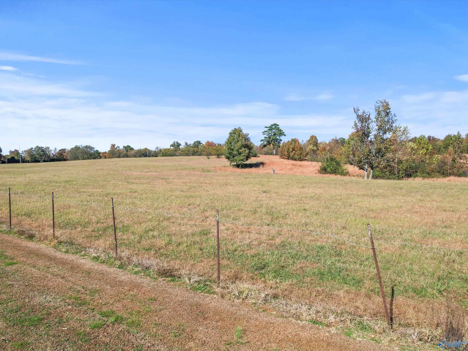Property Photo: 99+/- Acres Hobbs Loop Road AL 35739