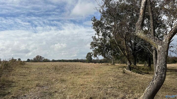 Property Photo:  Tbd Mt Carmel Road  AL 35622 