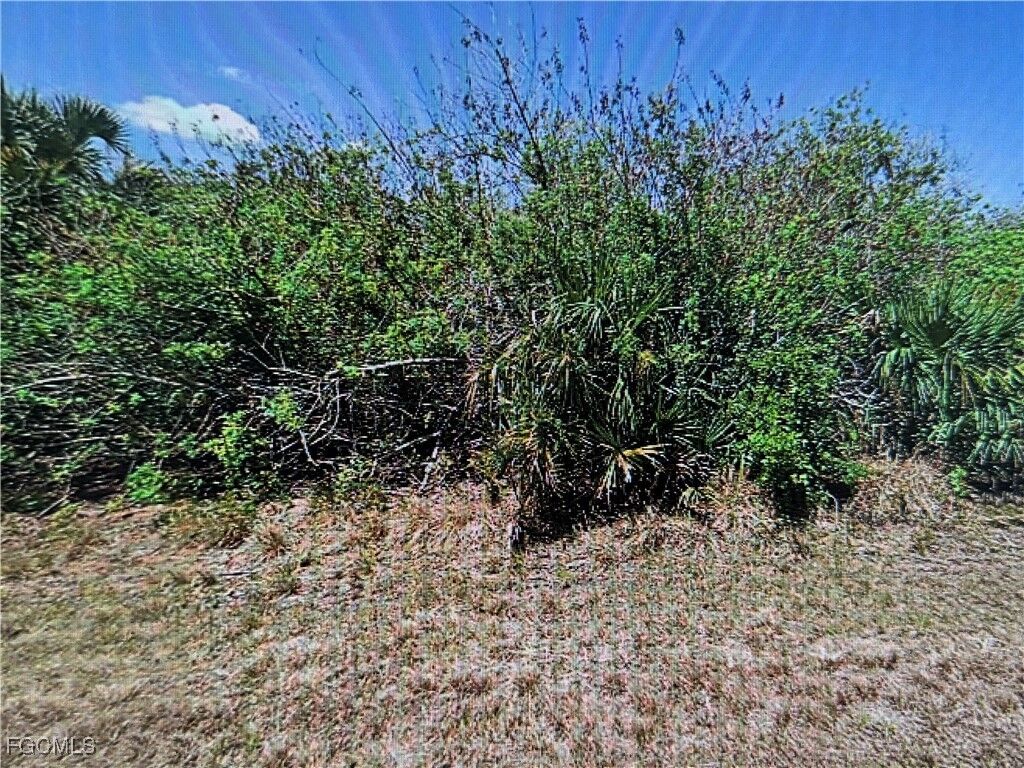 Property Photo: 343 Flynn Street FL 33954