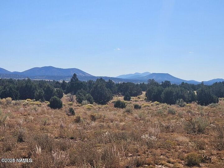Property Photo:  4342 Lasso Loop  AZ 86046 