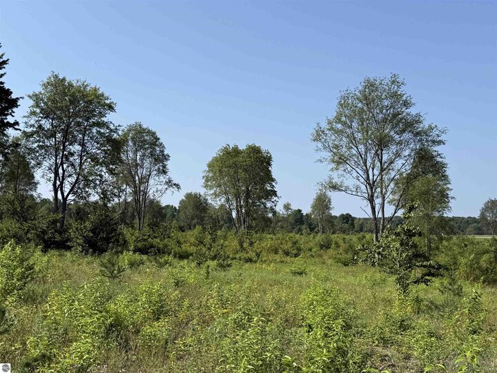 Property Photo:  Parcel A3 E Kasson Road  MI 49664 