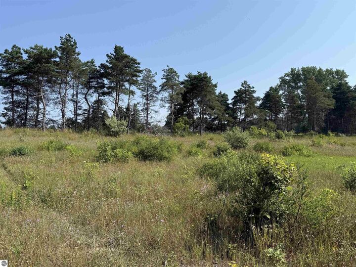 Property Photo:  Parcel A1 E Kasson Road  MI 49664 