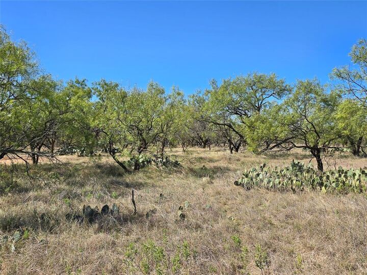 Property Photo: 8447 County Road 210 TX 79510