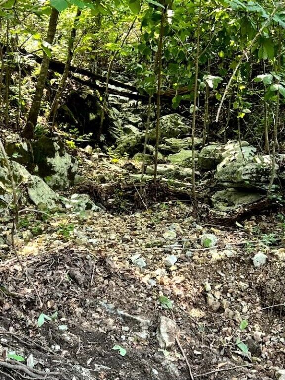 1272 Ramblewood Trail  Yellville AR 72687 photo