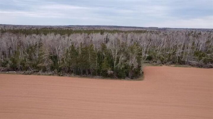 Property Photo:  Acreage Church Road  PE C0A 1T0 