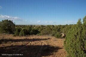 Property Photo:  Lot 50 Road 3950  NM 87401 