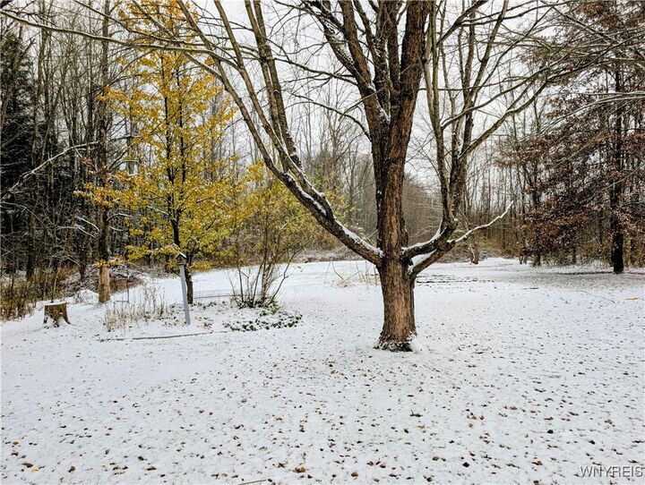 Property Photo: 167 Kody Lane NY 14042