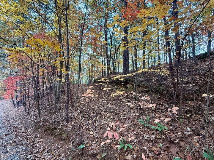 Property Photo:  526 Fedorak Court  GA 30734 