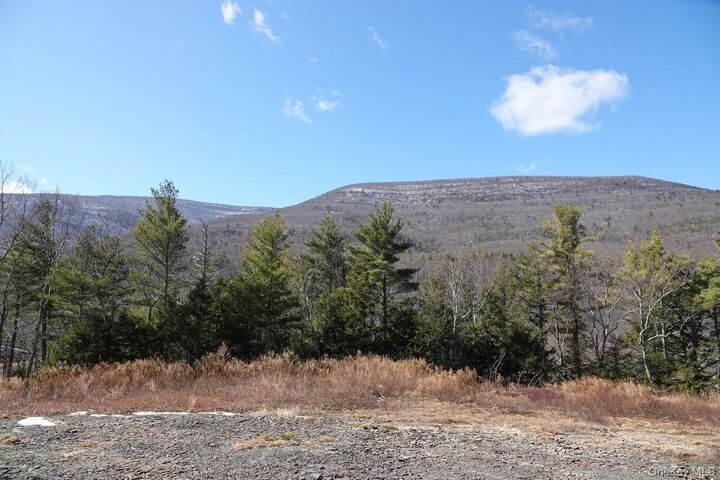 Property Photo:  Tbd Manorville Road  NY 12477 