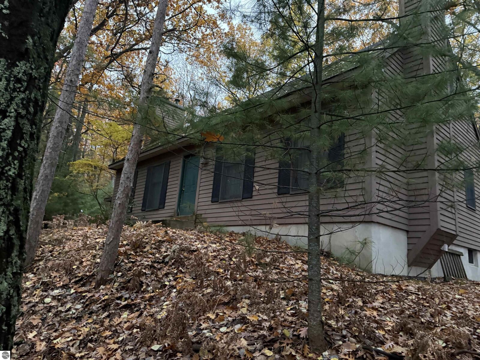 Property Photo:  4545 Paper Birch  MI 49686 