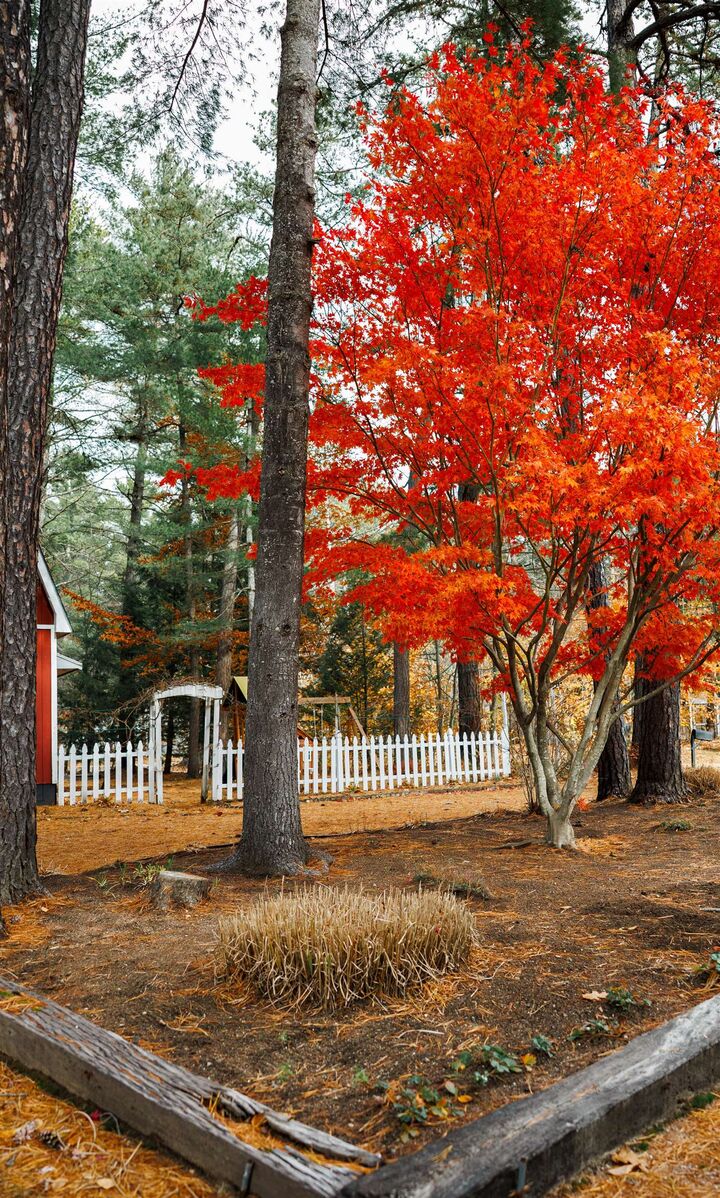 Property Photo:  10 Margo Lane  NH 03817 