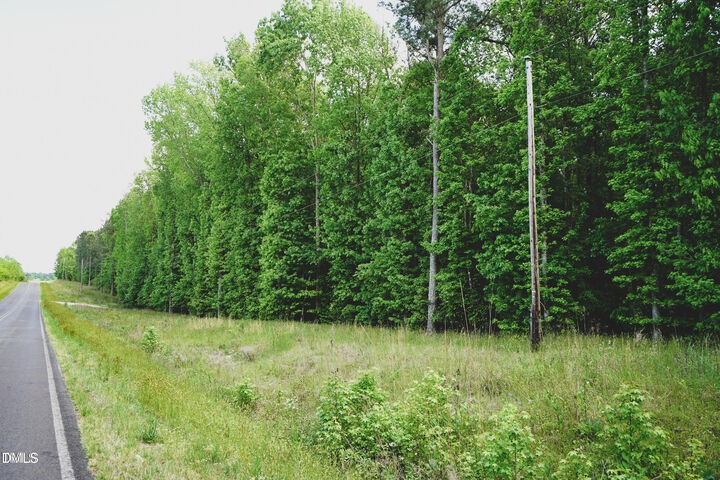 Property Photo:  Lot 4 Arthur Wilder Road  NC 27882 