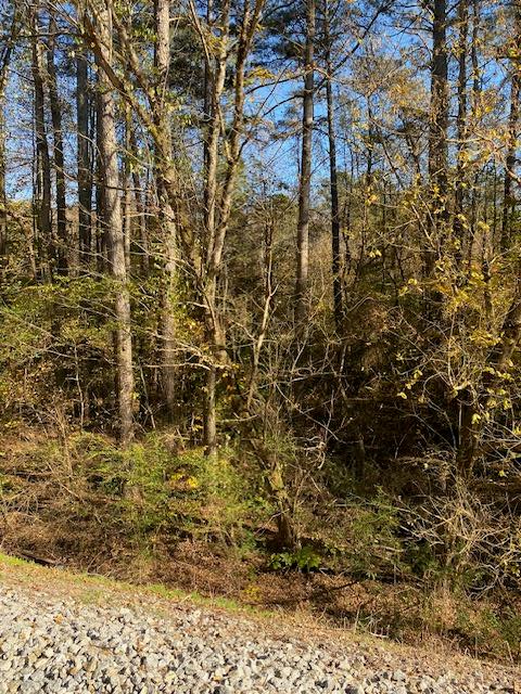 Property Photo:  0 Hwy 411  GA 30711 